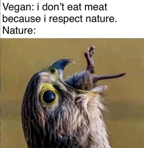 Nature - meme