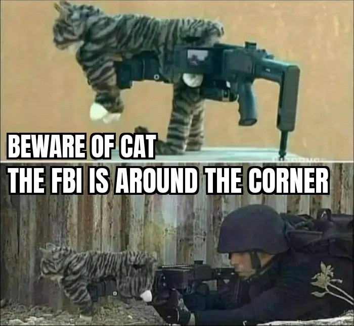 Here kitty kitty - meme