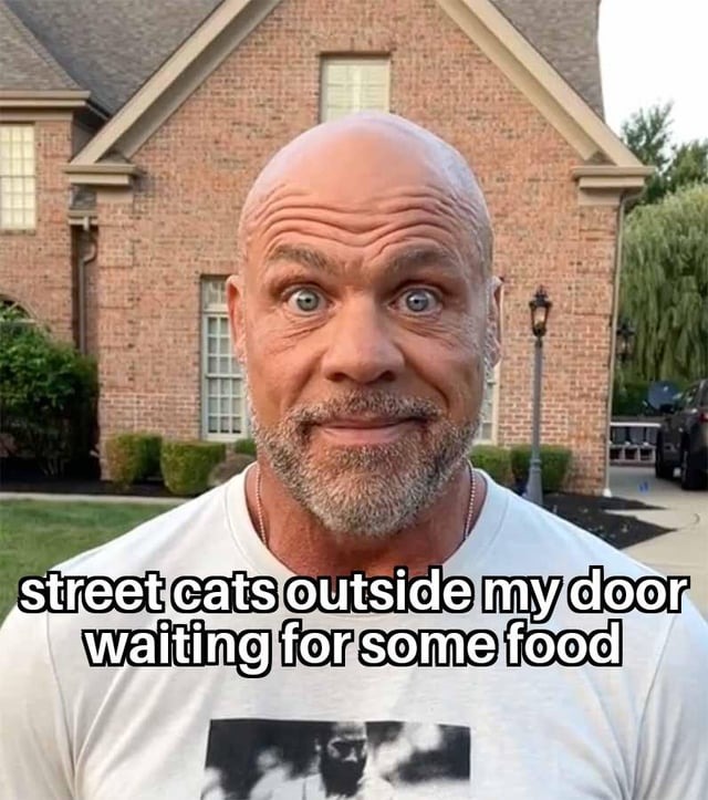 Street cats waiting - meme