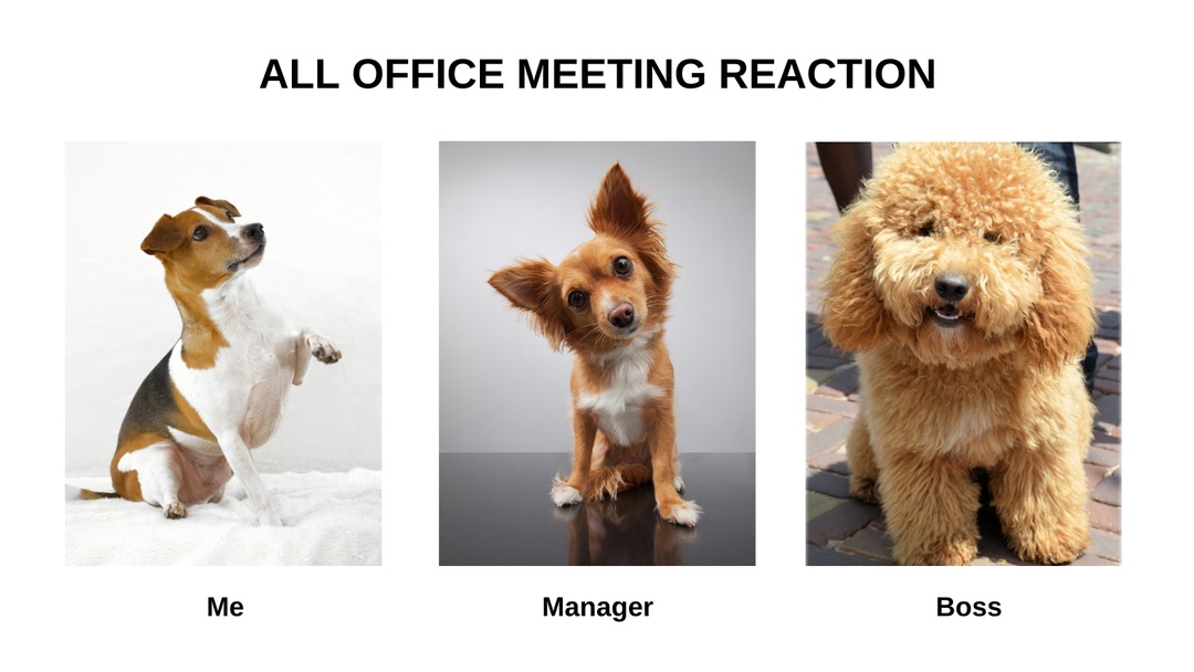 All Office Meetings Reaction Expectation vs. Reality - meme
