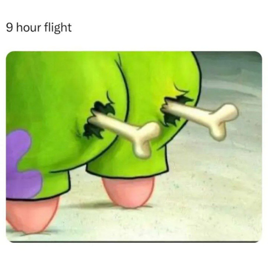 9 hour flight - meme