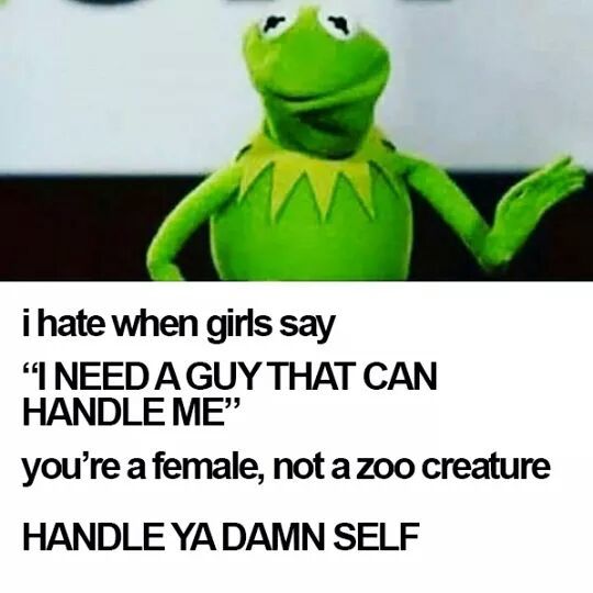 I hate feminazis - meme
