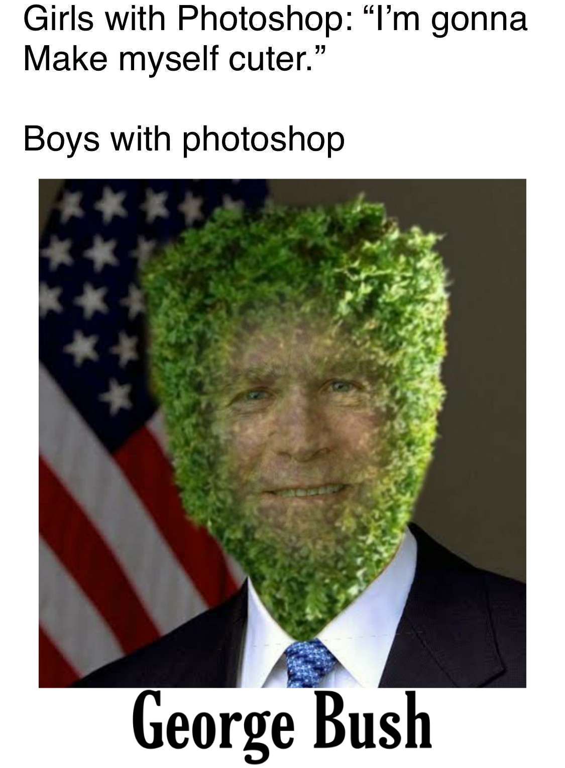 Bush = arbusto  - meme