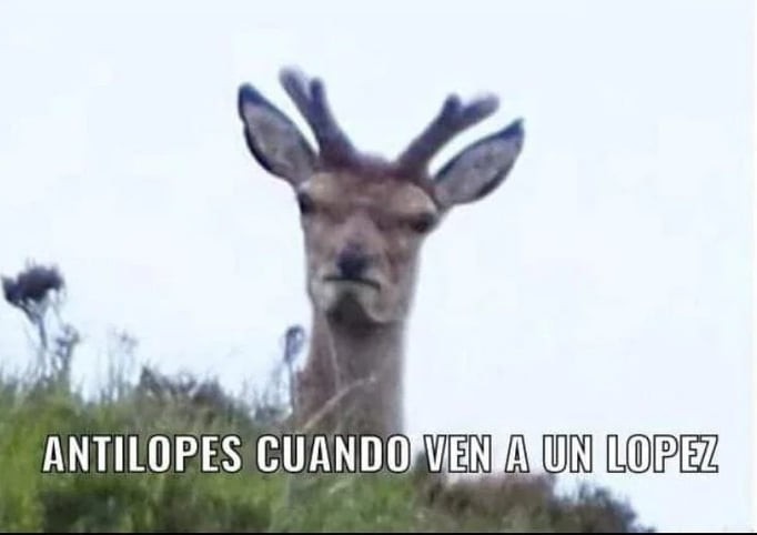 Lopez >:( - meme