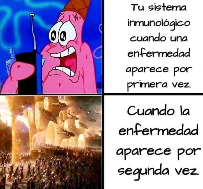sistema inmune en problemas - meme