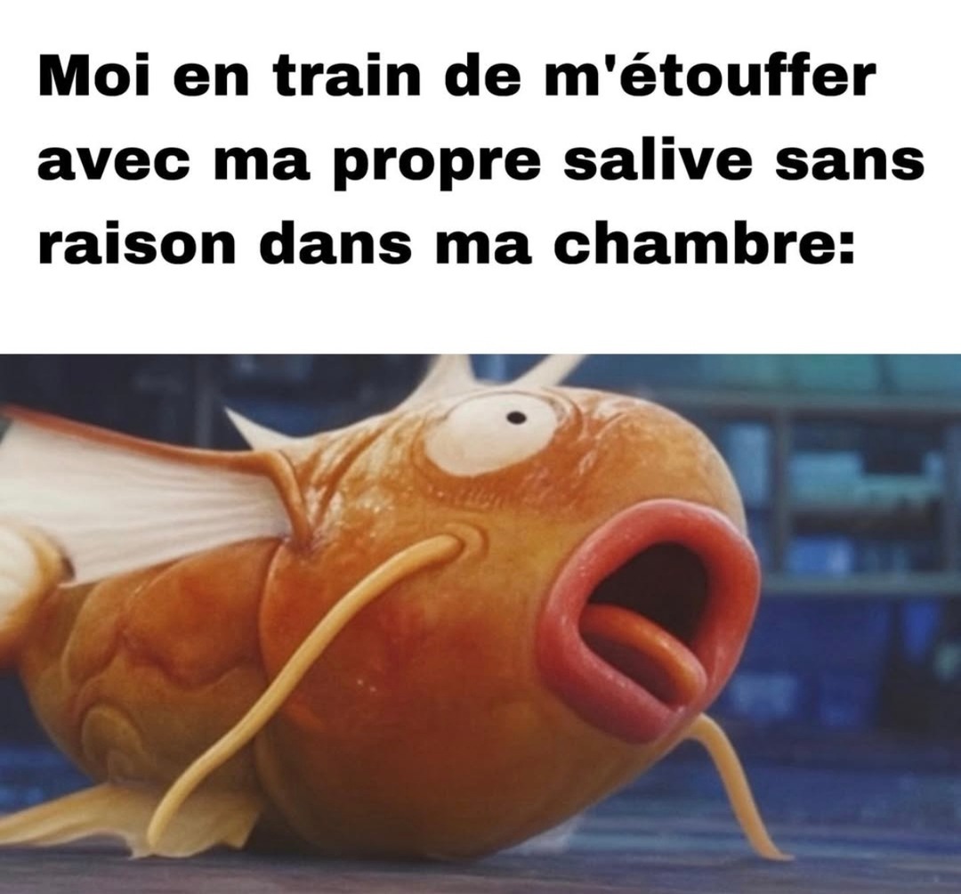 Moi qui m'étouffe avec ma salive comme si j'avais voulu mourir discret - meme