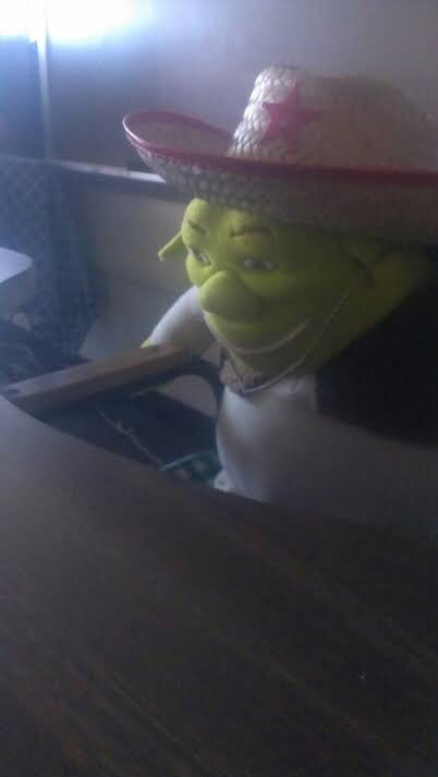 meme do shrek dancando