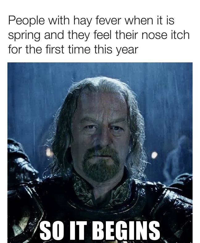 Spring is about to begin - meme