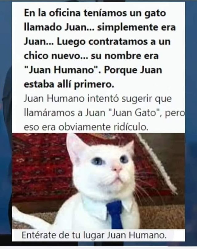 Juan vs Juan Humano - meme