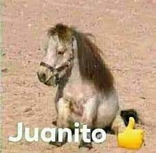 Juanito - meme
