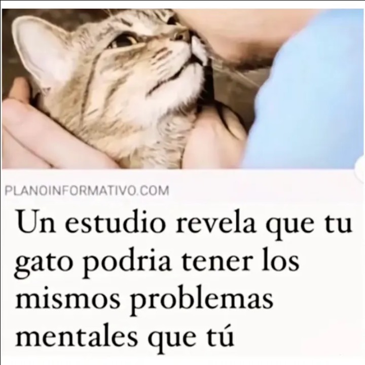 Que :catd:, mememierda sin gracia