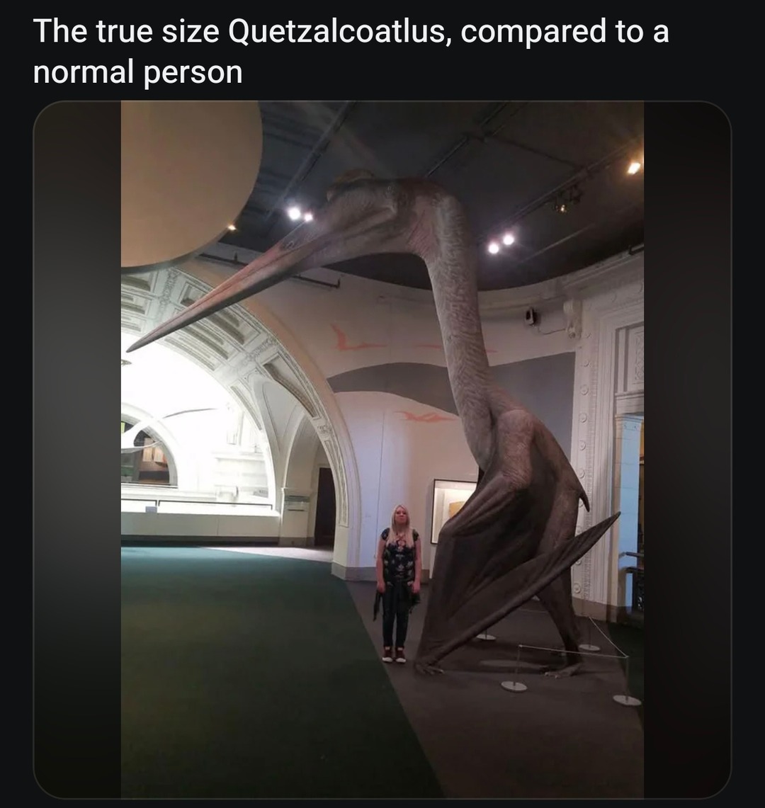 Quetzalcoatlus could literally block out the sun - meme