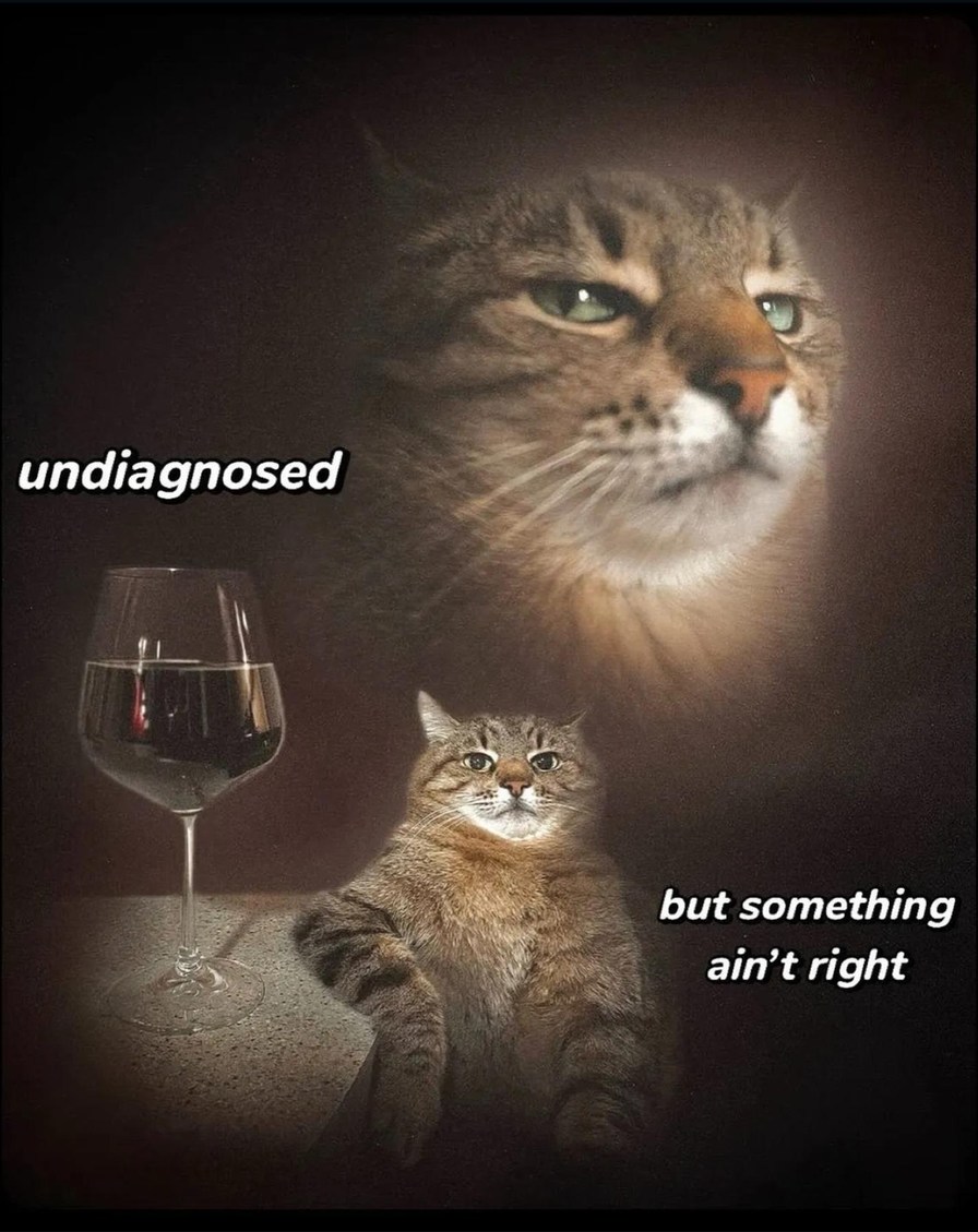 undiagnosed but definitely unwell - meme
