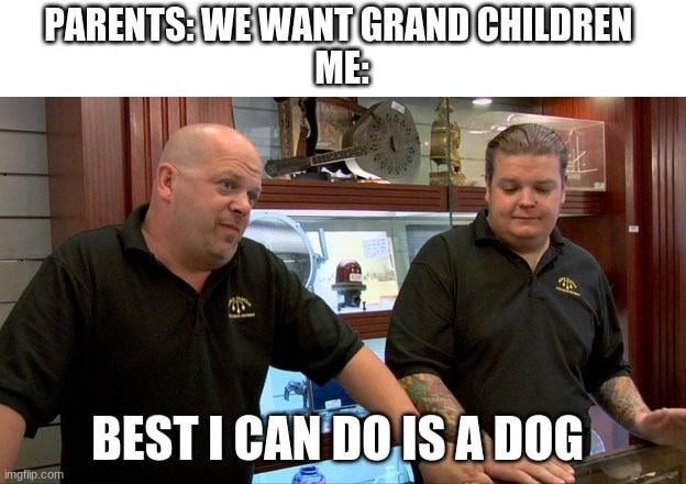Parents want grandkids, I got them a golden retriever - meme