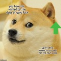Don't let the doge doggo down