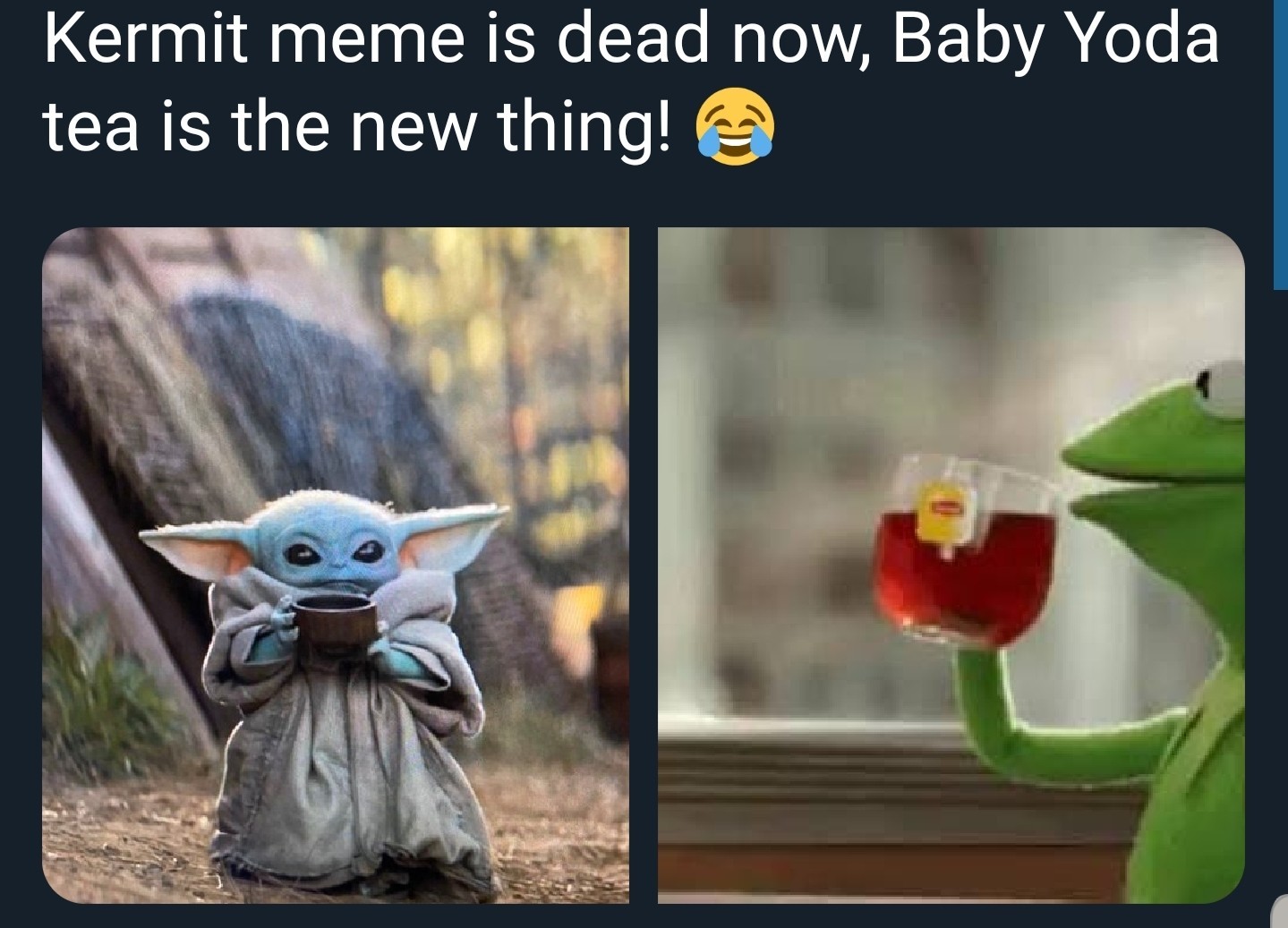 Baby Yoda is cuter than your kids and dogs - meme