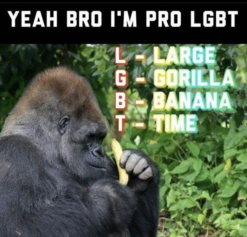 LGBT for life - meme