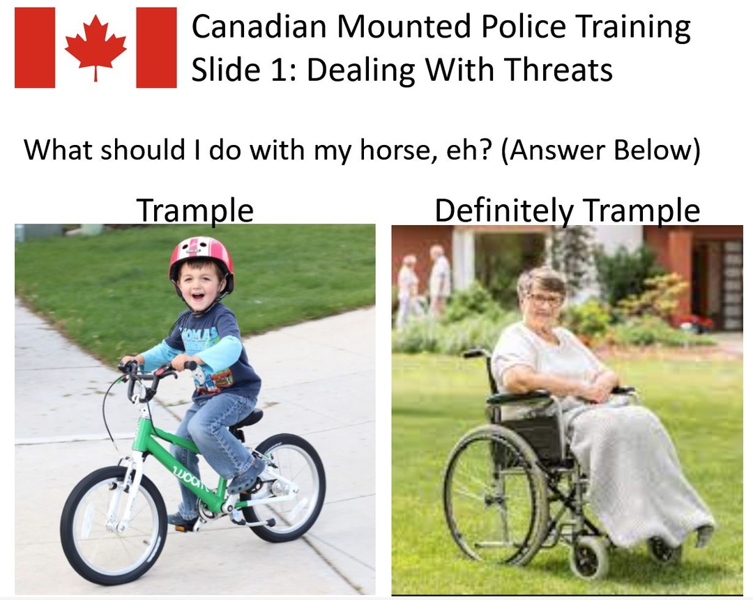 Leaked Canadian Mounted Police Training Materials - meme