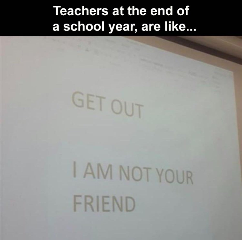 AM I LOOKING LIKE THIS MEME visual data 7