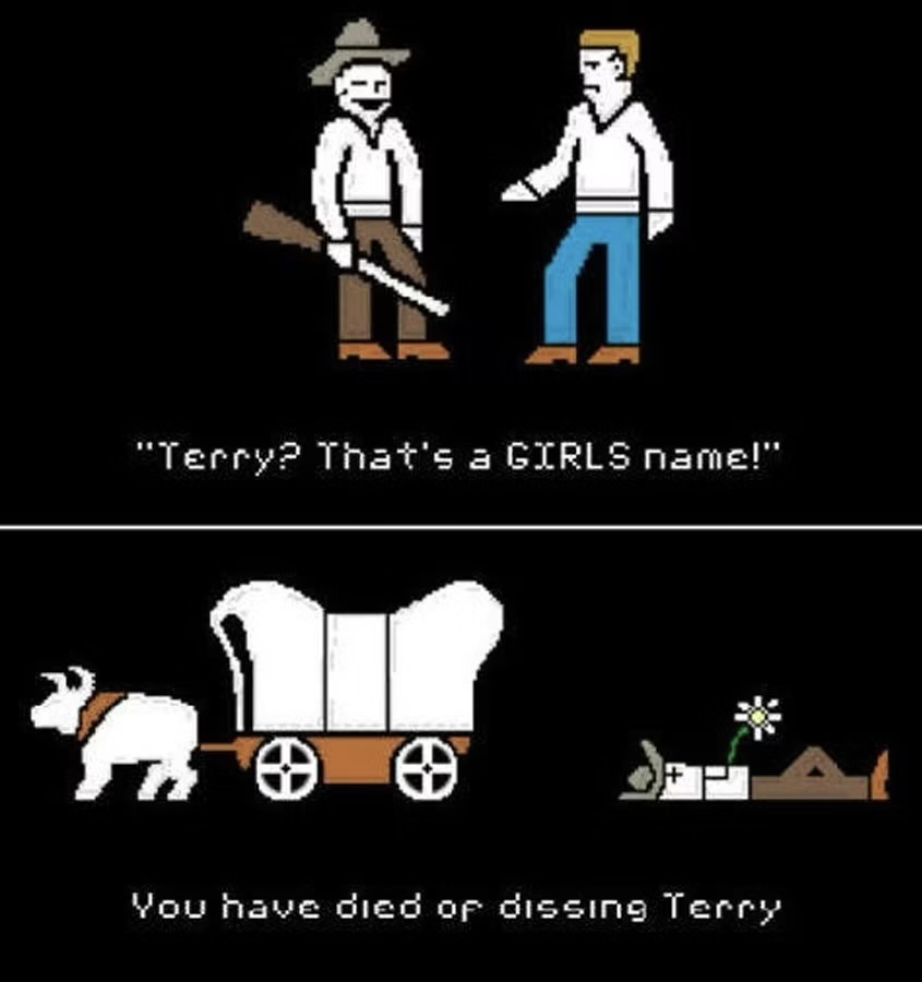 Dang it, Terry! - meme