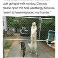 Tall dog