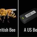 NOT the bees
