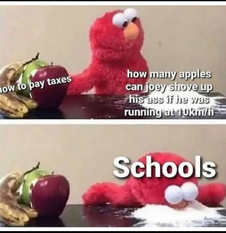 Stupid schools - meme