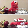 Stupid schools