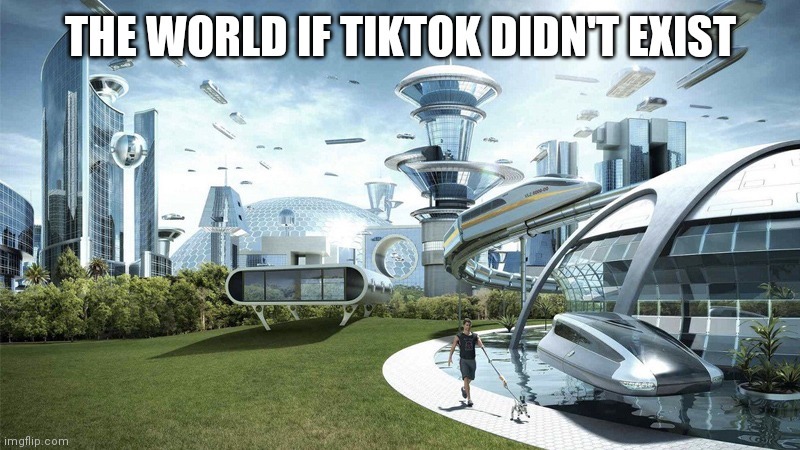 If Tiktok didn't exist - meme