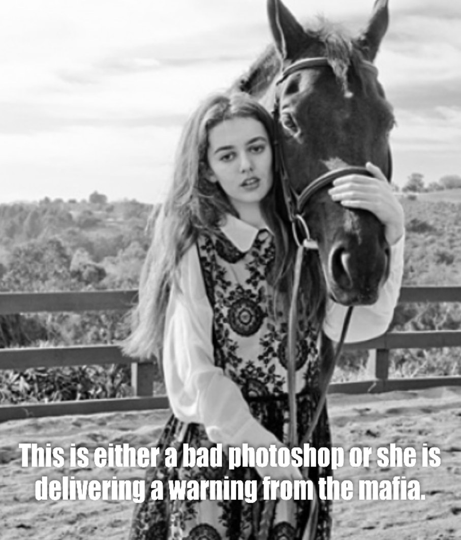 Bad Photoshop - There is no horse’s ass here. - meme