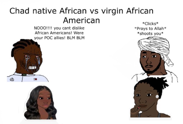 African Americans are inferior to native Africans - meme