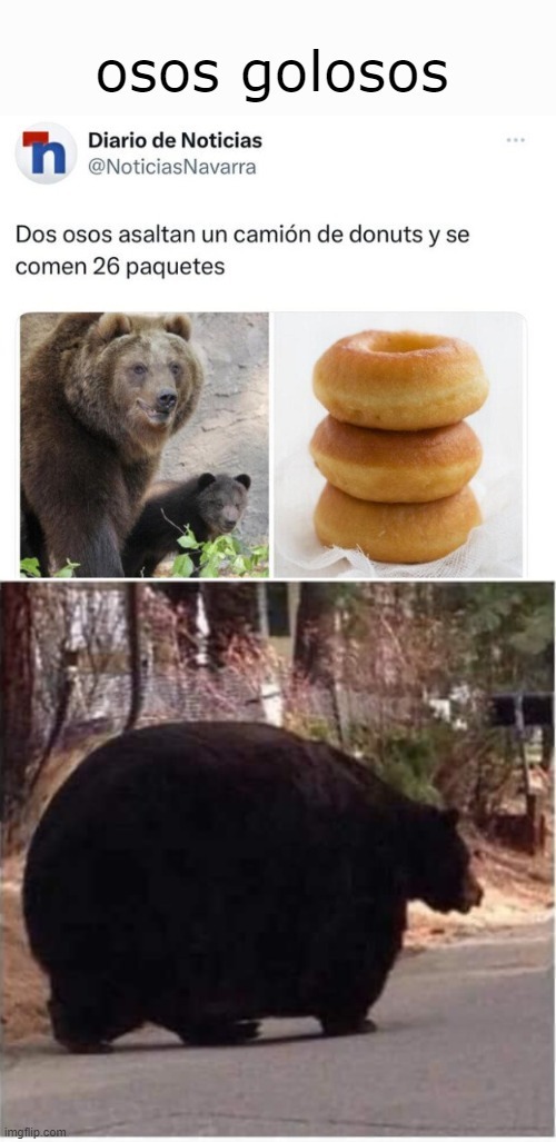Osos se comen un camion de donuts - meme