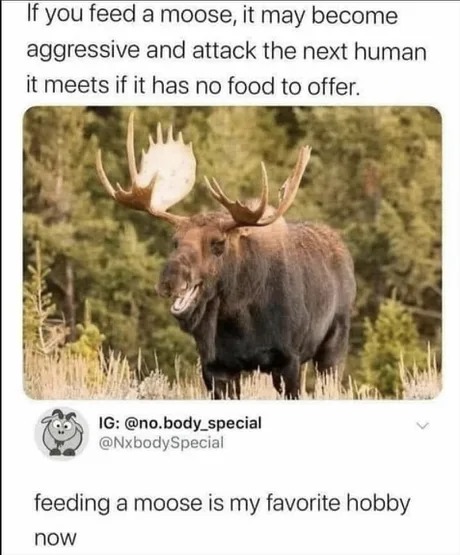 Be kind feed a moose - meme