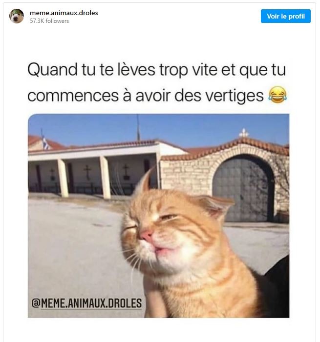 Moi après la sieste - meme