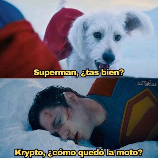 divertido cruce Superman Krypto pregunta - meme