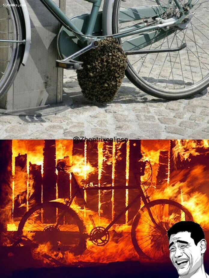 Bikes - meme