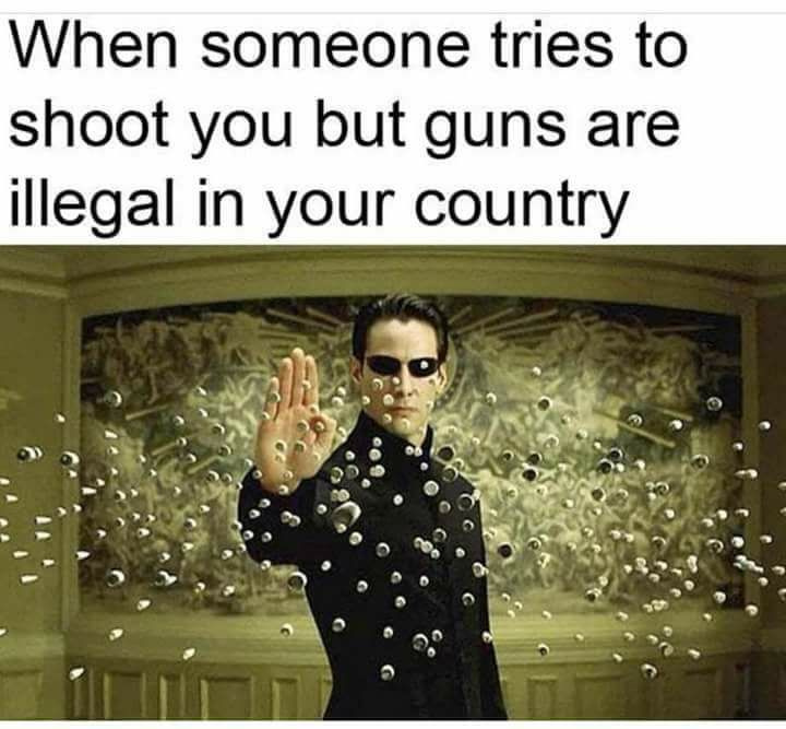 dongs in a gun - meme