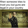 dongs in a gun