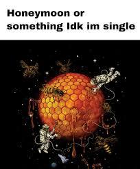 idk I'm single - meme