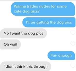 No I wanted the pics of cute puppers - meme