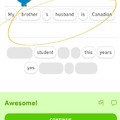 Cosas de Duolingo