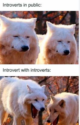 Happy introverts - meme