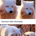 Happy introverts