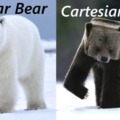 Cartesian bear