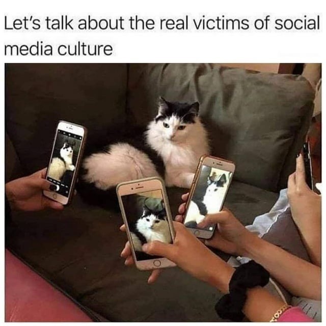 Social media got real ones suffering in silence - meme