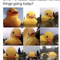 I’m a solid 9 DuCkIe