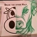 Draw the other half