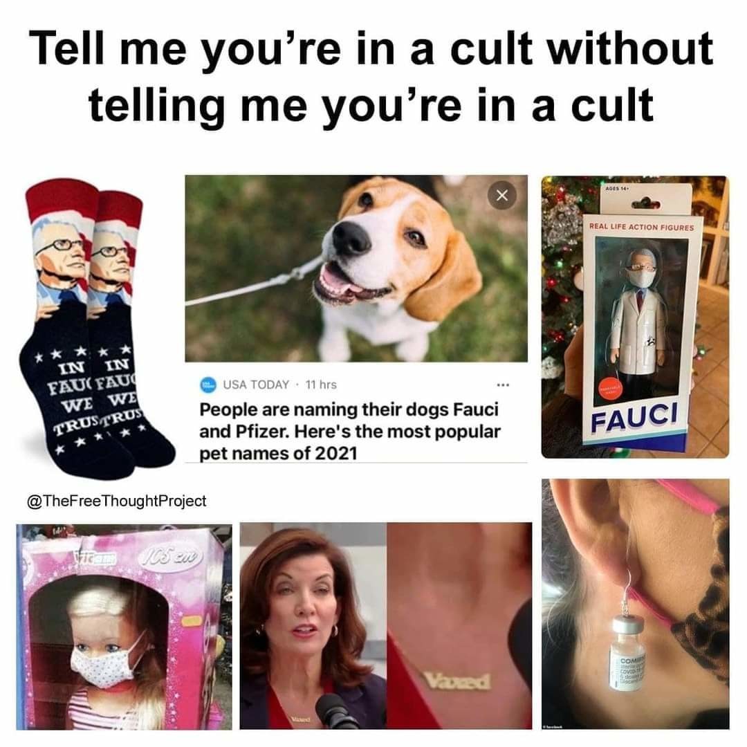 Cult life - meme