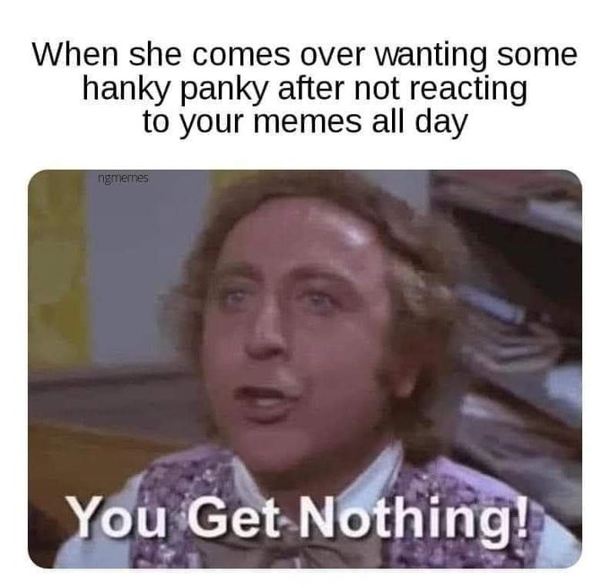 ﻿When she comes over wanting some hanky panky after not reacting to your memes all nbmemes You Get Nothing day