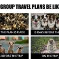 group plans